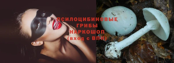 бошки Армянск