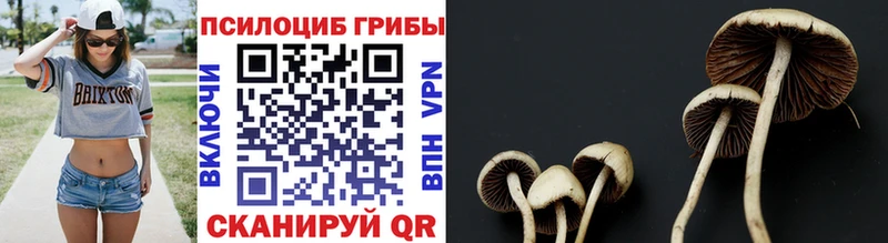 блэк спрут ссылка  цены   Сосногорск  Псилоцибиновые грибы MAGIC MUSHROOMS 